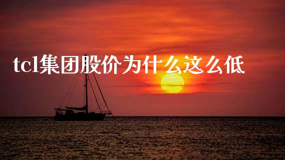 tcl集团股价为什么这么低_https://cj002.lansai.wang_会计问答_第1张