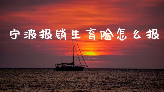 宁波报销生育险怎么报_https://cj002.lansai.wang_保险问答_第1张