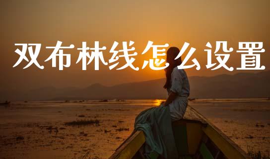 双布林线怎么设置_https://cj002.lansai.wang_财经问答_第1张