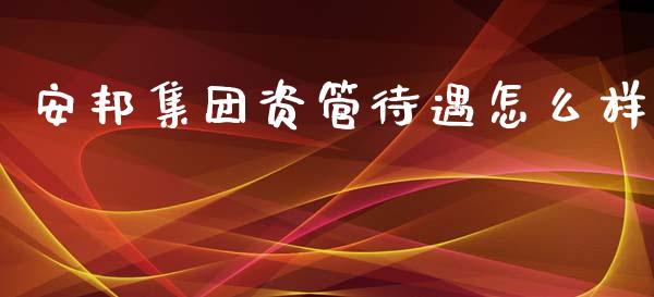 安邦集团资管待遇怎么样_https://cj002.lansai.wang_保险问答_第1张