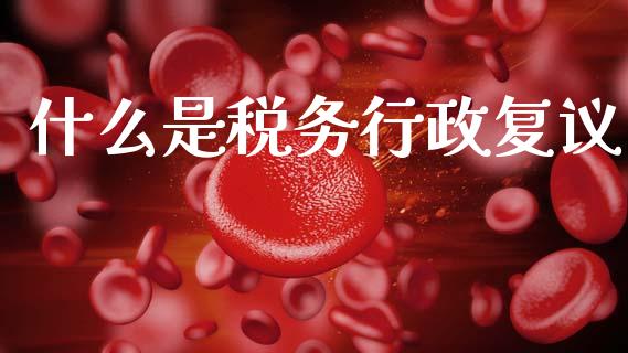 什么是税务行政复议_https://cj002.lansai.wang_会计问答_第1张