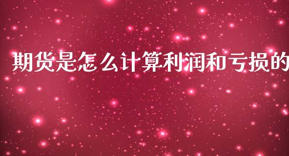 期货是怎么计算利润和亏损的_https://cj002.lansai.wang_期货问答_第1张
