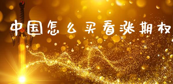 中国怎么买看涨期权_https://cj002.lansai.wang_期货问答_第1张
