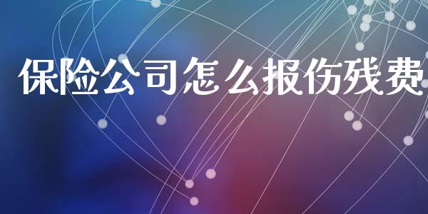 保险公司怎么报伤残费_https://cj002.lansai.wang_保险问答_第1张