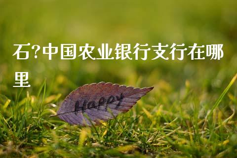 石?中国农业银行支行在哪里_https://cj002.lansai.wang_理财问答_第1张