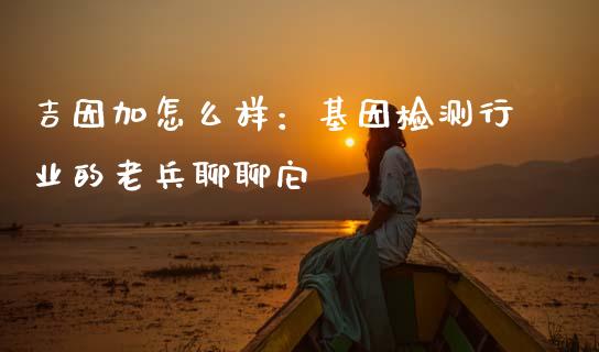 吉因加怎么样：基因检测行业的老兵聊聊它_https://cj002.lansai.wang_财经问答_第1张