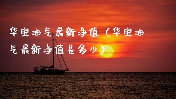 华宝油气最新净值（华宝油气最新净值是多少）_https://cj002.lansai.wang_财经百问_第1张